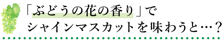 「ぶどうの花の香り」でシャインマスカットを味わうと…？