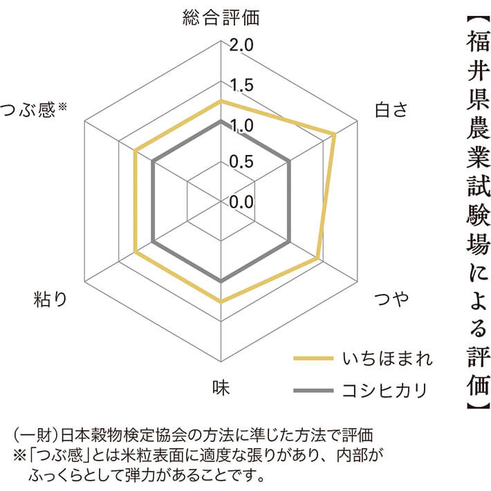 【福井県農業試験場による評価】 ※「つぶ感」とは米粒表面に適度な張りがあり、内部が　ふっくらとして弾力があることです。