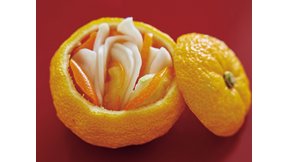 かぶときんかんのなます