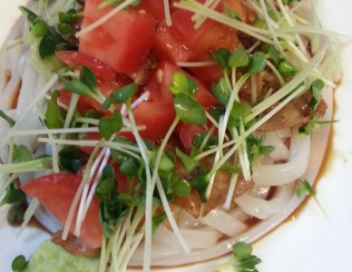 しょうが焼きあえうどん