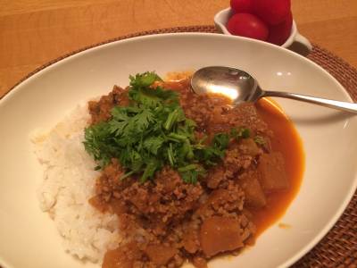 ひき肉ととうがんのサラサラカレー