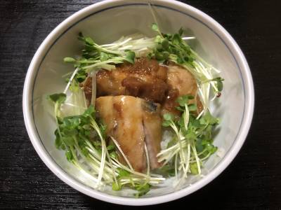 あじのかば焼き丼