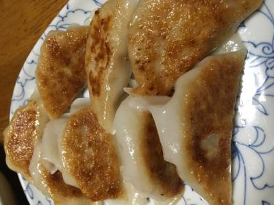 パリパリ焼きギョーザ