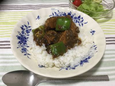 鶏手羽カレー