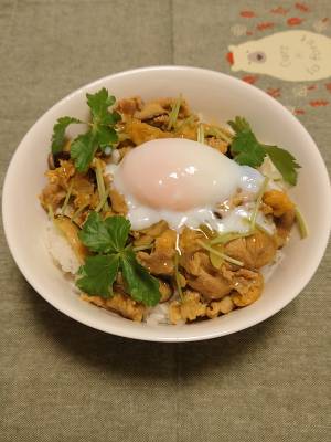 カレーきつね丼