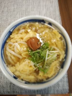 梅のせ卵とじうどん