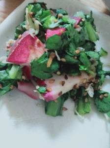 春菊とかぶのじゃこあえ