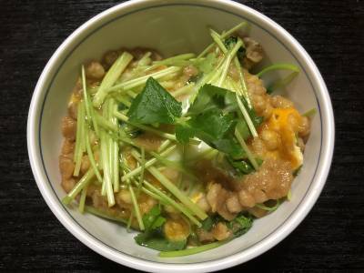 たぬき丼 レシピ 河野 雅子さん みんなのきょうの料理 おいしいレシピや献立を探そう