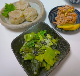 わかめと春キャベツのごまからし酢じょうゆあえ