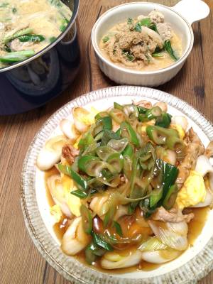 ねぎたっぷり!肉卵炒めオイスターあんかけ