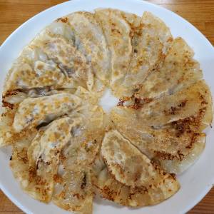 豚肉と野菜のギョーザ