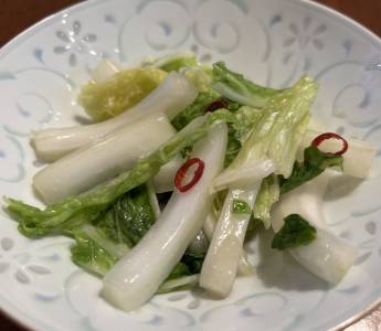 ラーパーツァイ(辣白菜)